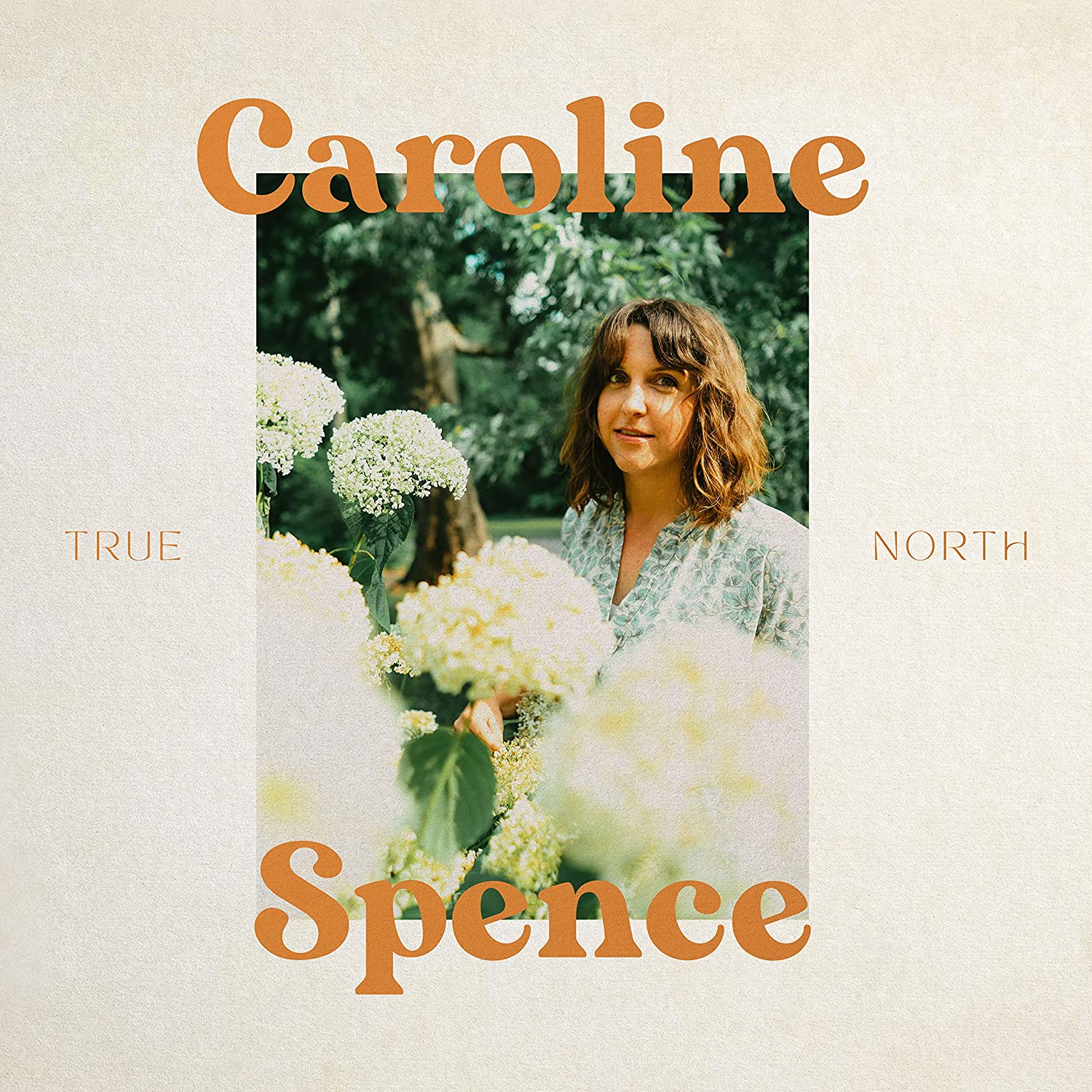 First Impressions: True North by Caroline Spence – The Old Grey Cat